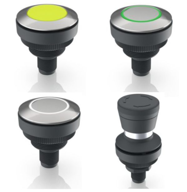 Rafi Ramo 30T Key Switches | Petracarbon